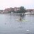 Hafenregatta_200245_20061203_1190447033