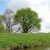 Himmel0_20080628_1049567091