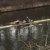 img-20160327-wa0052
