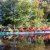 image0005
