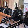 2023 &raquo; Ergo